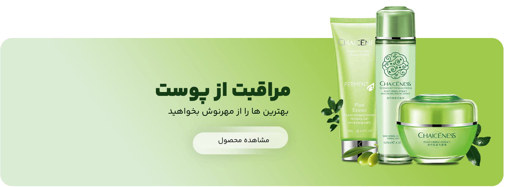 b2 اریکا فیس