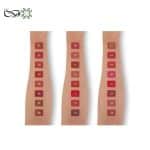 رژ لب مدادی لسو استار