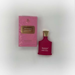 بگ ادکلن مینی برندینی | انتخابی خوش‌ بو، شیک و کاربردی